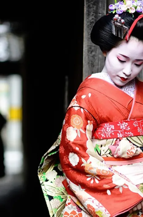 Japón (Mikatour expreso)