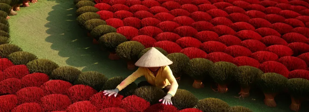 Encantos de Vietnam y Camboya 