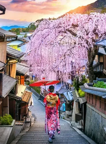 Japón (Mikatour expreso)